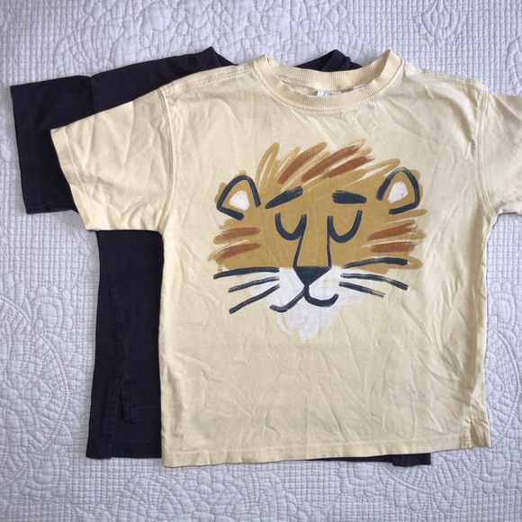 Zara Other - ZARA Toddler Skate Park and Lion Graphic T-Shirt Set of 2 Size 4T